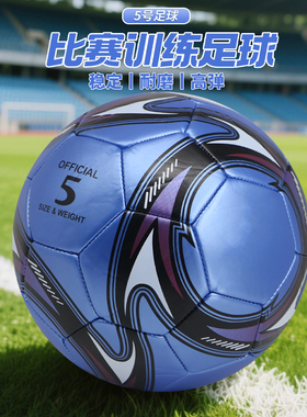 足球成人小学生儿童PU3#4#5号足球中学生训练比赛专用成人标准球