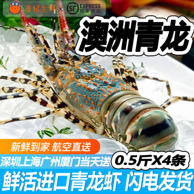 进口鲜活青龙虾 4只2斤新鲜澳洲大龙虾海鲜海产波士顿特大10 包邮