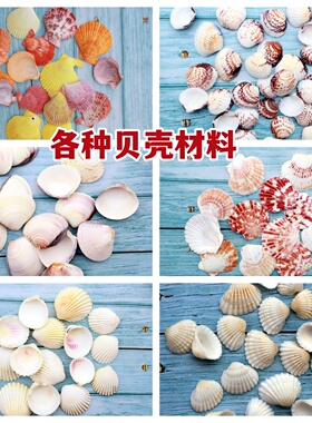 天然海螺彩色贝壳雪贝粉红扇贝白色贝壳摆件手工风铃挂件材料配件