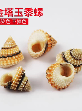 海贝缘天然海螺贝壳金塔玉黍螺