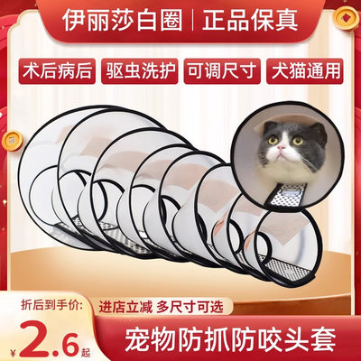 伊丽莎白圈狗猫脖套绝育防舔防抓