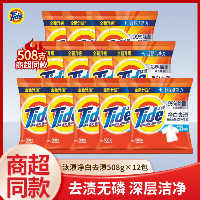 汰渍净白去渍洗衣粉508g