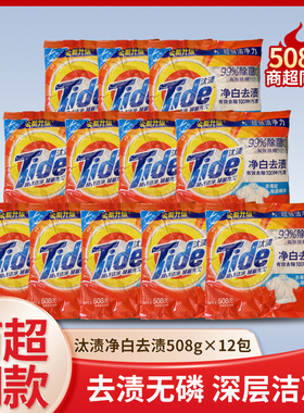 汰渍洗衣粉508g净白去渍小袋家用小包装实惠装净白去渍正品