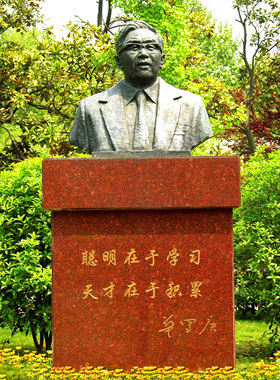 华罗庚半身玻璃钢胸像雕塑著名人物博物馆纪念小品艺术摆件雕像