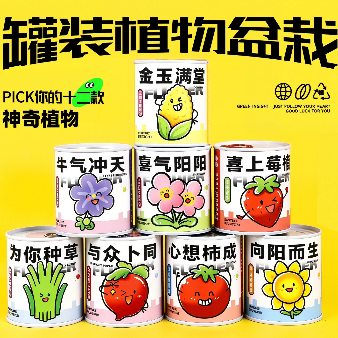 植物罐头盆栽易养护儿童种植试验观察套装创意礼物桌面罐装绿植含