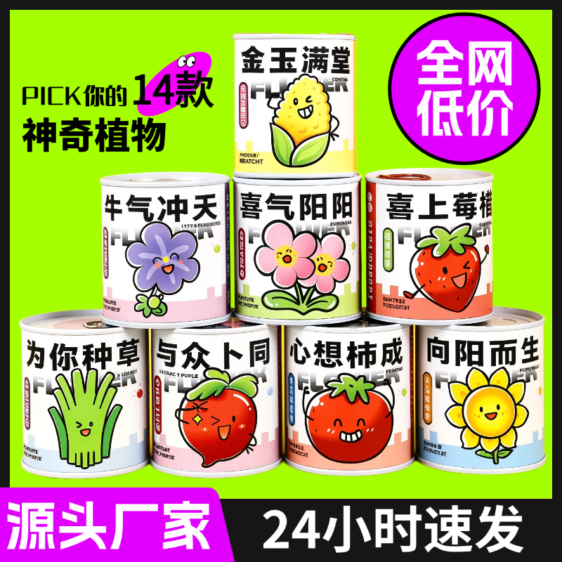植物罐头盆栽易养护儿童种植试验观察套装创意礼物桌面罐装绿植含