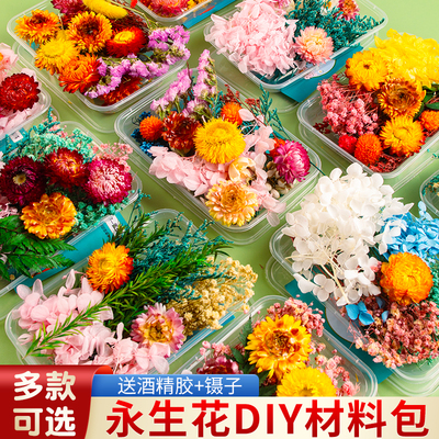 永生花干花diy材料包高级感真花