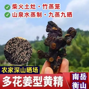 正宗南岳衡山农家自挖纯野生黄精九蒸九晒九制即食多花黄精中药材