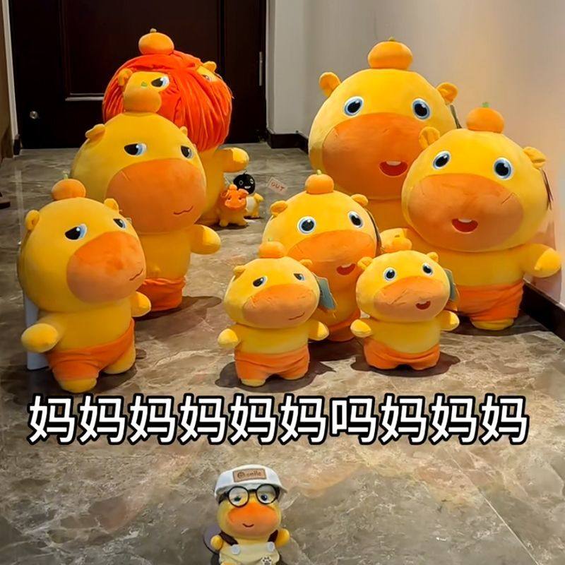 正版多爱水豚噜噜公仔毛绒玩具搞怪卡皮巴拉玩偶女生儿童生日礼物,玩具/童车/益智/积木/模型,毛绒/玩偶/公仔/布艺类玩具,淘宝优惠券,粉丝福利购,淘宝优惠卷