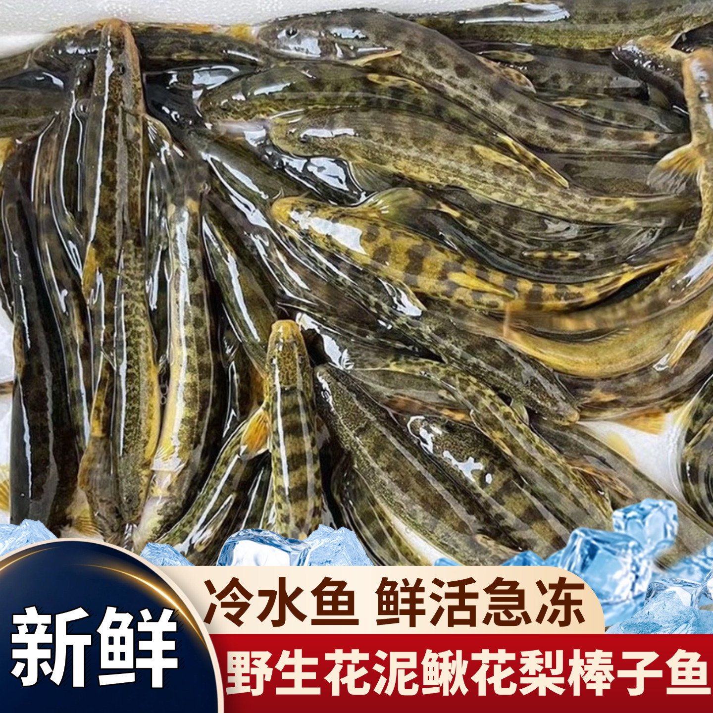 东北新开河野河花泥鳅鱼 冷水鱼河鱼 长白山溪水花泥鳅花梨棒子鱼
