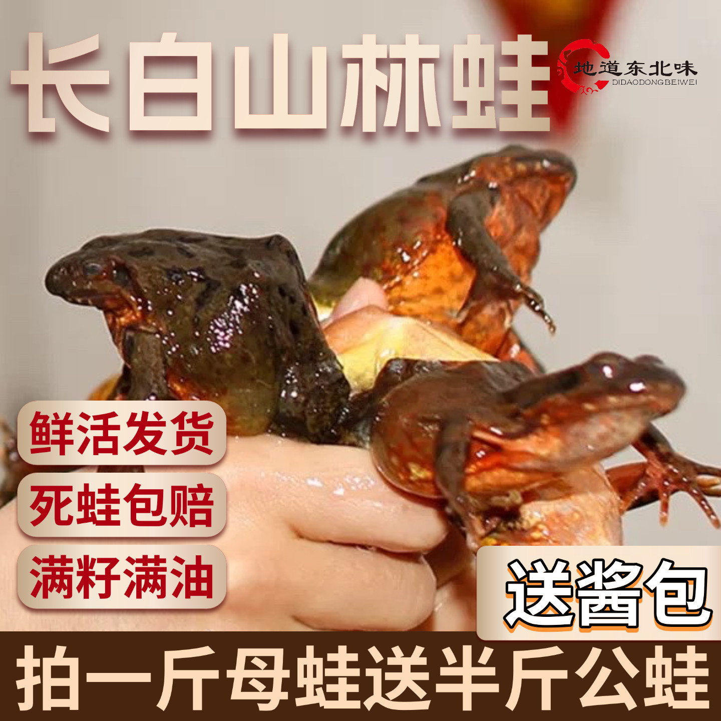 东北林蛙鲜活长白山活林蛙 深山泉水母豹子满籽满油活雪蛤 哈士蟆