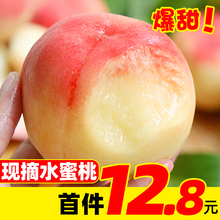 现摘水蜜桃毛桃新鲜水果5斤当季时令整箱孕妇桃子香甜10包邮