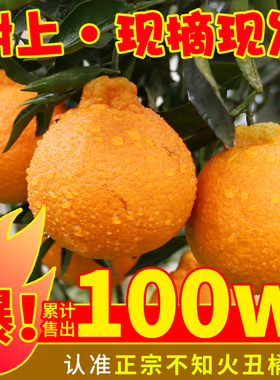 四川不知火丑橘水果新鲜整箱包邮当季桔子耙耙粑粑斤丑柑橘子