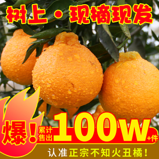 四川不知火丑橘水果新鲜整箱包邮当季桔子耙耙粑粑斤丑柑橘子