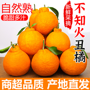 四川不知火丑橘水果新鲜整箱大果当季9斤桔子非耙耙粑粑丑柑橘子