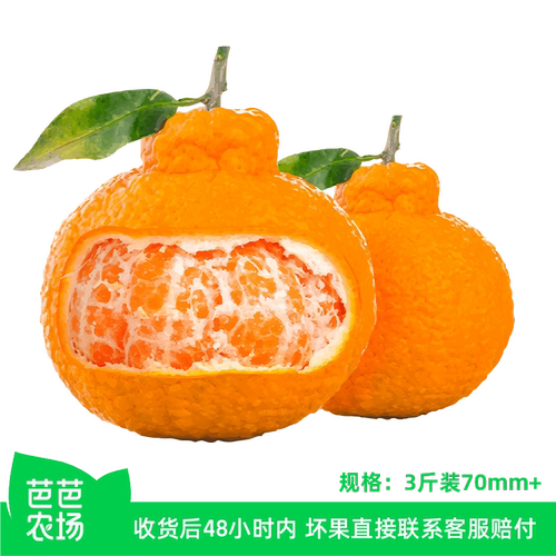 【芭芭农场】四川不知火丑橘3斤70mm+