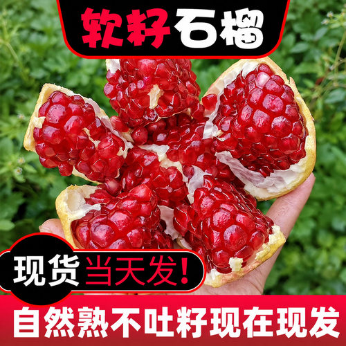 软籽石榴新鲜水果当季整箱包邮正宗四川会理红宝石无籽石榴