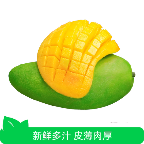 金煌芒果3斤150g+（初期果皮偏青，需催熟变软后食用）