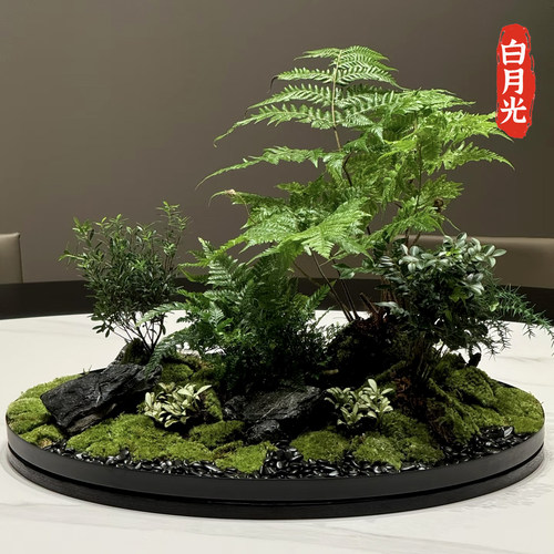 永生苔藓饭店大圆桌中间转盘艺术绿植景观装饰品餐桌摆花创意摆件