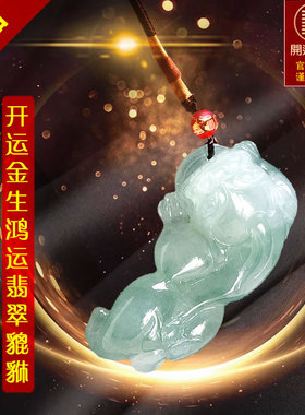 开运金生鸿运翡翠貔貅吊坠 正品