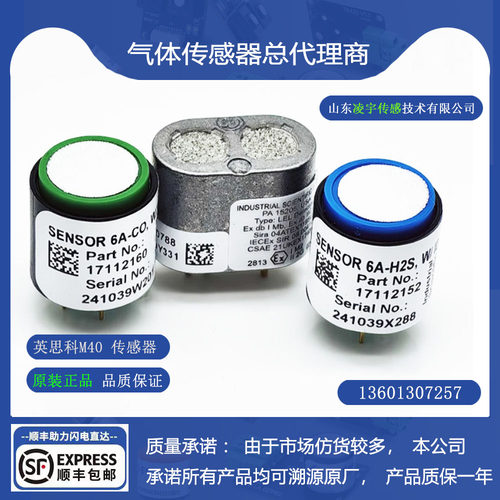 6A-CO6A-H2S硫化氢可燃O2氧气