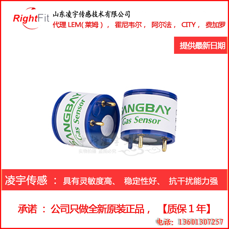 S4OXV两电极氧气电化学传感器