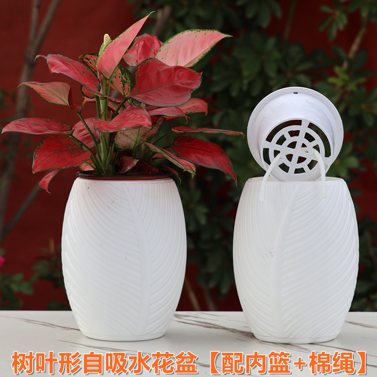 懒人自吸水花盆蝴蝶兰花盆吉利红土培储水盆桌面装饰创意树叶形盆