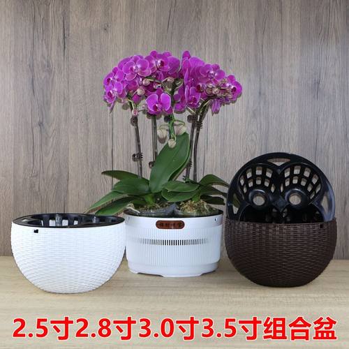 蝴蝶兰花组合套盆网格透气花盆杯