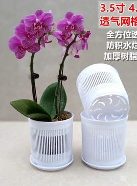 3.5寸蝴蝶兰花盆控根网格透气专用育苗兰花杯石斛盆栽种植育苗钵