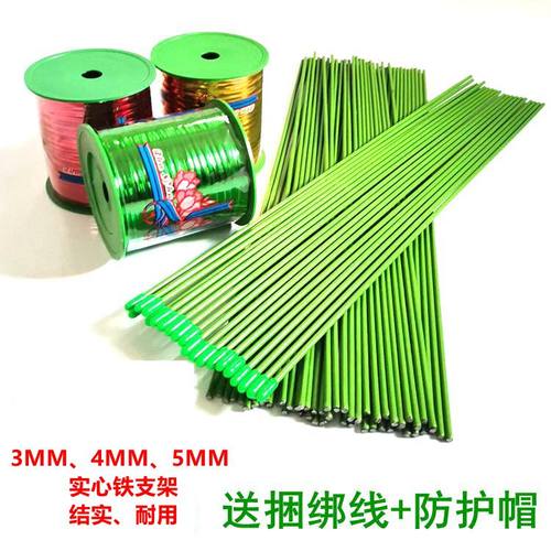 金钱树蝴蝶兰花蔬菜瓜果植物