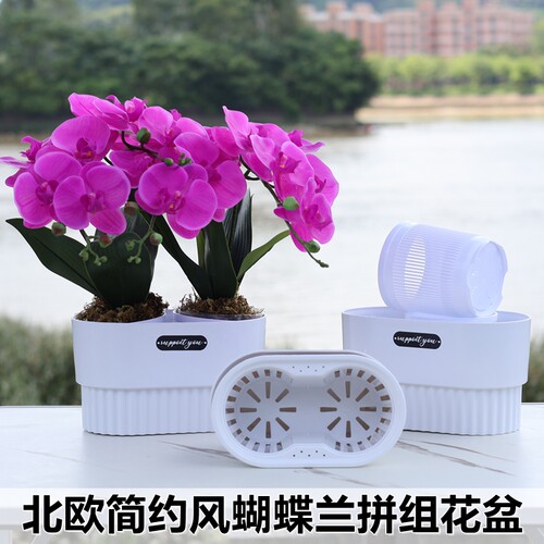 2.8寸3.0寸3.5寸4寸蝴蝶兰拼组花盆兰花杯育苗钵定植篮组合盆大钵