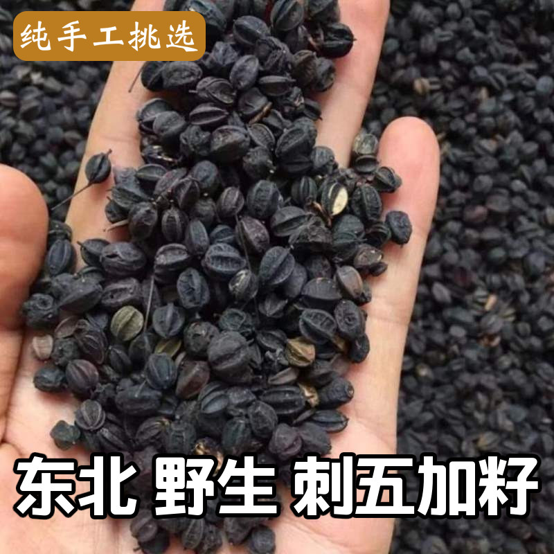 东北野生刺五加果子茶五加参果睡眠中药材特级 刺五加籽500克包邮