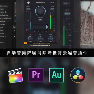 达芬奇 Audition Logic 插件 消除回声混响 FCPX 音频降噪噪音