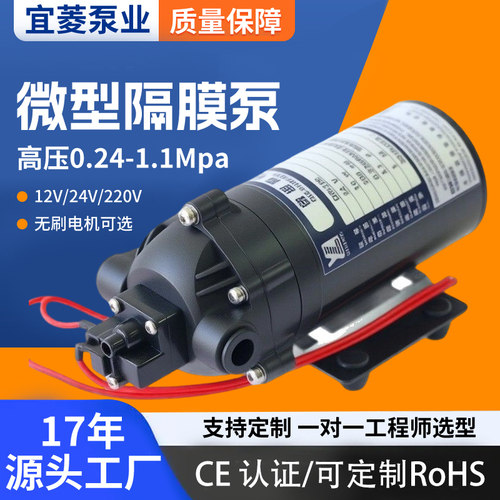 厂家DP-60微型隔膜泵12V24V220V直流交流自吸泵小型水泵CE认证
