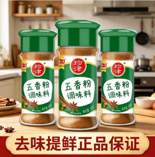 阿一波珍津五香粉22g香辛调味料煲汤炒菜烤肉撒粉料家用厨房调料