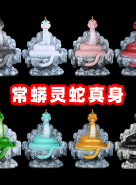 灵蛇真身蟒家柳家神像汉白重体黑