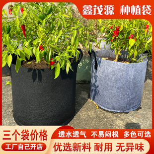 无纺布花盆热卖 种植袋家庭种菜阳台养花盆加厚美植袋摔不烂植树袋