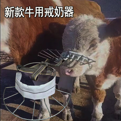 新款小牛犊戒奶神器加粗钢筋