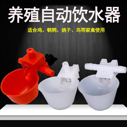 全自动鸽子鹌鹑鸟饮水碗
