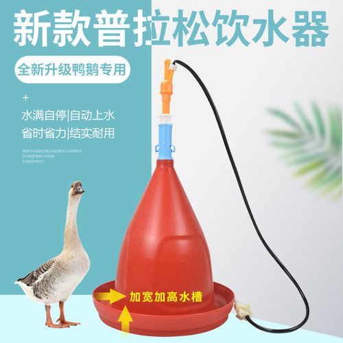 新款升级加厚普拉松自动饮水器鸡鸭鹅养殖用设备水壶喝水水壶厂家
