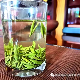 双山仙茗 明前茶叶礼盒装 双山牌 特级毛尖茶 超值热卖特产绿茶