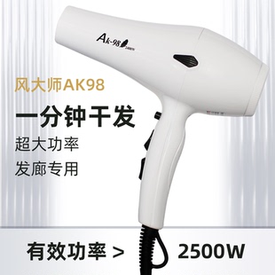 风大师AK98吹风机静音美发沙龙发型师专用2400家用发廊大功率包邮