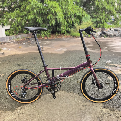 FNHON风行折叠车YAD2018铝合金20寸22寸碟刹9 10速碳纤维插拔头管