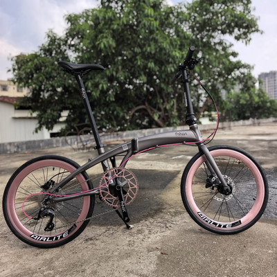 Fnhon风行折叠车推荐DG2018海豚车架碟刹消光灰Airlite淡粉色轮组