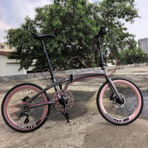 Fnhon风行折叠车推荐DG2018海豚车架碟刹消光灰Airlite淡粉色轮组