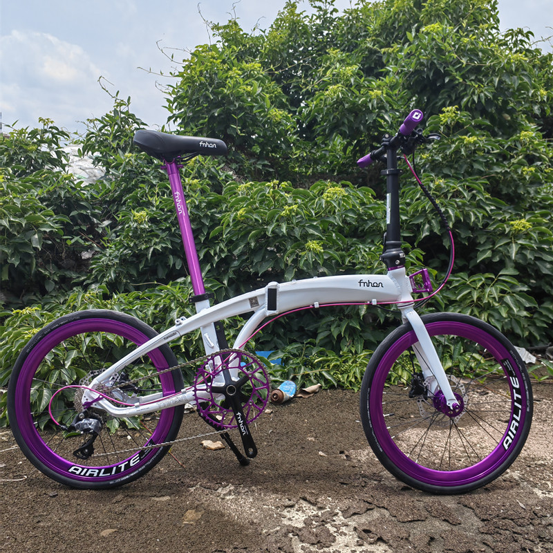fnhon风行20寸铝合金新款海豚架LDG2018碟刹 折叠自行车内置油碟