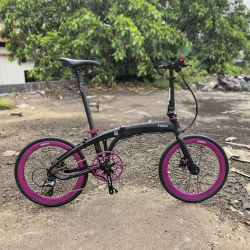 fnhon风行20寸铝合金新款海豚架LDG2018碟刹 折叠自行车内置油碟
