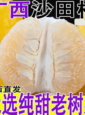 广西容县正宗白肉蜜柚沙田柚子产地新鲜爆汁清甜当季水果大果包邮