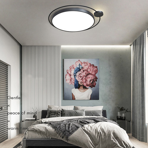 110LED燈具智能APP吸顶灯