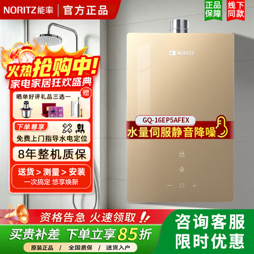 能率智能恒温16升强排天然气金色